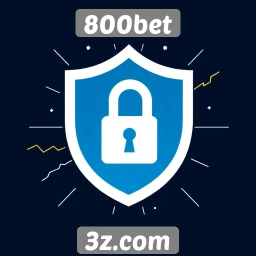 Plataforma 800bet destaca segurança em transações