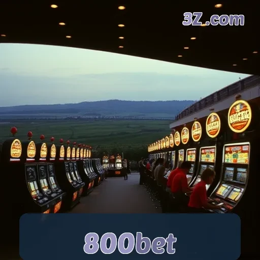 800bet Loteria: Atrações e Dicas Para Apostar com Inteligência